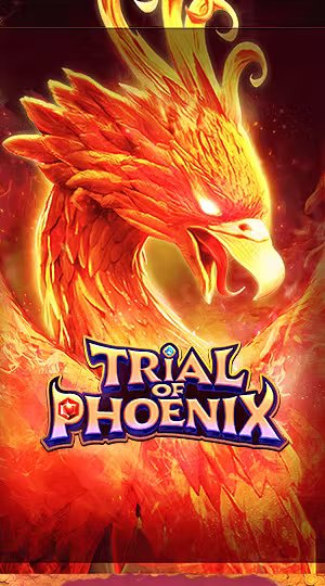 Phượng Hoàng Tinh Tế